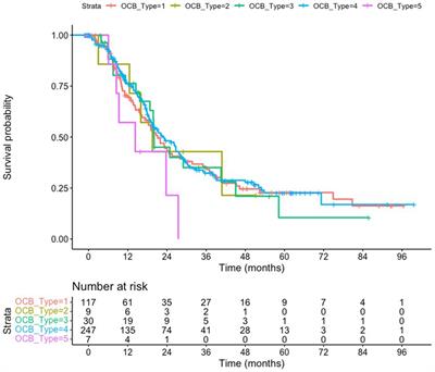 CSF oligoclonal IgG bands are not associated with ALS progression and prognosis